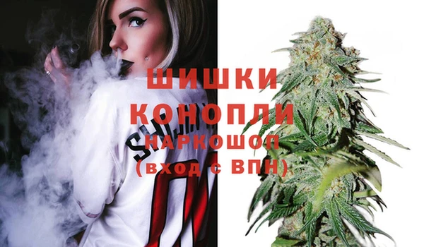 МДПВ Краснослободск