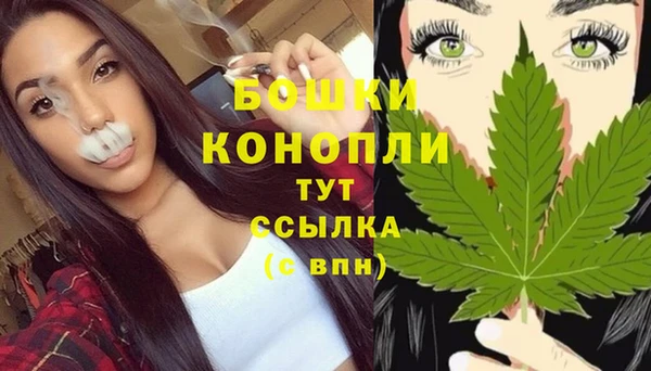 МДПВ Краснослободск