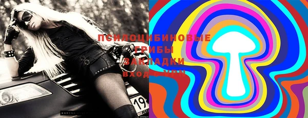 МДПВ Краснослободск