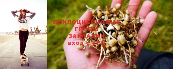 МДПВ Краснослободск