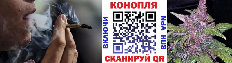 Купить закладки  Кушва  Бошки марихуана SATIVA & INDICA 